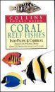 Coral Reef Fishes of the Indo-Pacific and Caribbean