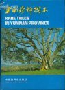 Rare Trees in Yunnan Province