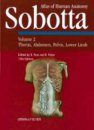 Atlas of Human Anatomy Volume 2: Thorax, Abdomen, Pelvis and Lower Limbs