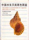 Coloured Illustrations of Aquatic Mollusks in China [Chinese]