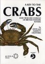 A Key to the Crabs and Crab-like Animals of British Inshore Waters