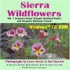 Sierra Wildflowers Vol. 1