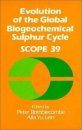 Evolution of the Global Biogeochemical Sulphur Cycle