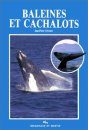 Baleines et Cachalots