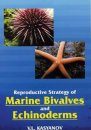 Reproductive Strategy of Marine Bivalves and Echinoderms