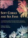 Soft Corals and Sea Fans