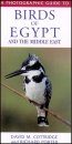A Photographic Guide to the Birds of the Middle East