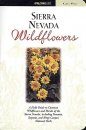 Sierra Nevada Wildflowers
