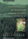 Ecophysiology of Northern Spruce Species: