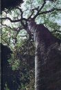 Wayside Trees of Malaya (2-Volume Set)