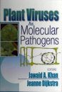 Plant Viruses as Molecular Pathogens