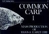 Common Carp - Part 1: Mass Production of Eggs and Early Fry