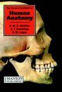 The Concise Handbook of Human Anatomy