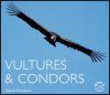 Vultures and Condors