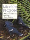 The Life of the Pigeon