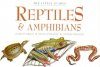 The Little Guides: Reptiles and Amphibians