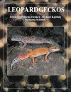Leopard Geckos [German]