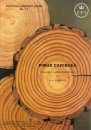 Pinus Caribaea, Volume 2: Wood Properties