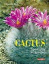 Cactus: The Most Beautiful Species and their Care