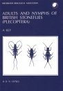 A Key to the Adults and Nymphs of the British Stoneflies (Plecoptera)