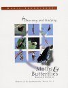Basic Techniques for Observing and Studying Moths and Butterflies
