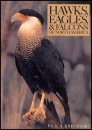 Hawks, Eagles and Falcons of North America