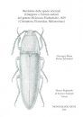 Revisione delle Specie Orientali (Giappone e Taiwan esclusi) del Genere Melanotus Eschscholtz, 1829 (Coleoptera, Elateridae, Melanotinae)