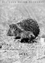 Igel (Hedgehog)