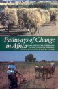 Pathways of Change in Africa