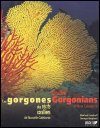 Coral Reef Gorgonians of New Caledonia / Les Gorgones des Recifs Coralliens de Nouvelle-Caledonie