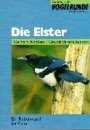 Die Elster (Magpie)