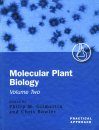 Molecular Plant Biology Volume 2