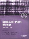 Molecular Plant Biology (2-Volume Set)