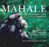 Mahale: A Photographic Encounter with Chimpanzees