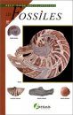 Petit Guide Encyclopedique les Fossiles
