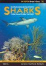 The Identification, Behaviour and Natural History of the Sharks of Florida, the Bahamas, the Caribbean, the Gulf of Mexico