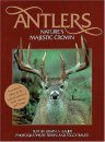Antlers: Nature's Majestic Crown