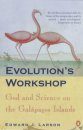 Evolution's Workshop
