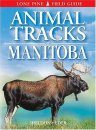 Animal Tracks of Manitoba