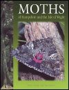 The Moths of Hampshire and the Isle of Wight