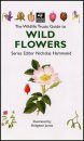The Wildlife Trusts Guide to Wild Flowers