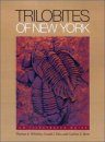 Trilobites of New York State