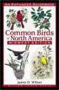 Common Birds of North America: Midwest Edition
