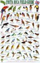 Costa Rica Field Guide: Birds of the Pacific Coast Tropical Rainforest: Osa Peninsula: Parque Nacional Corcovado, Drake Bay, Rio Sierpe, Isla del Cano, Golfo Dulce [English / Spanish]