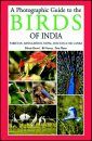 A Photographic Guide to the Birds of India