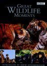 Great Wildlife Moments with David Attenborough - DVD (Region 2 & 4)