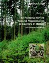 The Potential for the Natural Regeneration of Conifers in Britain