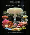 Treasures from the Kingdom of Fungi