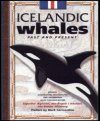 Icelandic Whales (English Edition)