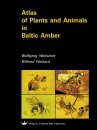 Atlas of Plants and Animals in Baltic Amber